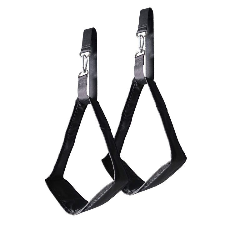 Heavy Duty Pair for Pull Up Bar Blue Sky